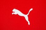 Logo-Puma